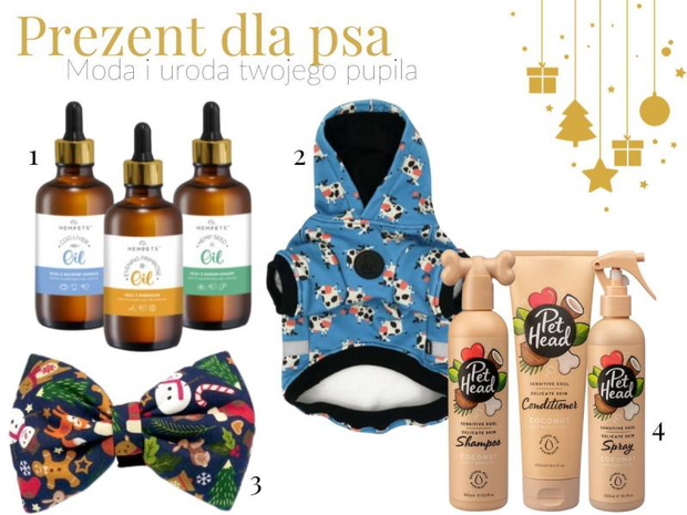 prezent-dla-psa-na-swieta-2022-moda-i-uroda-2491417-94c8f3b