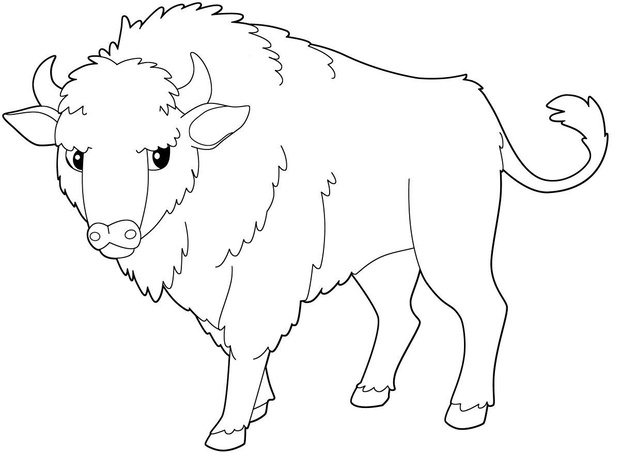 kolorowanki-na-11-listopada-zubr-2491336-dfe094f