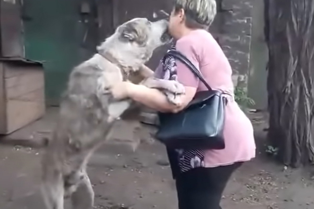 Po latach odnalazła ukochanego psa. Ich reakcje chwytają za serce