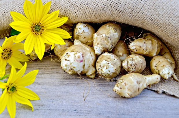 topinambur-superfood-dla-cukrzykow-2491978-7a8a717