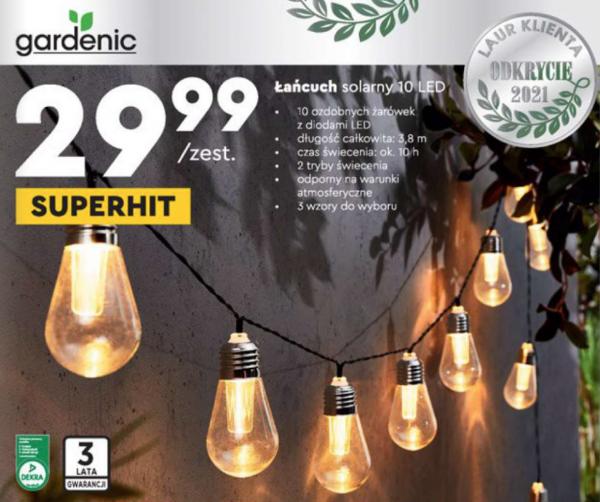 lampiony-biedronka-2472446-4267a1c
