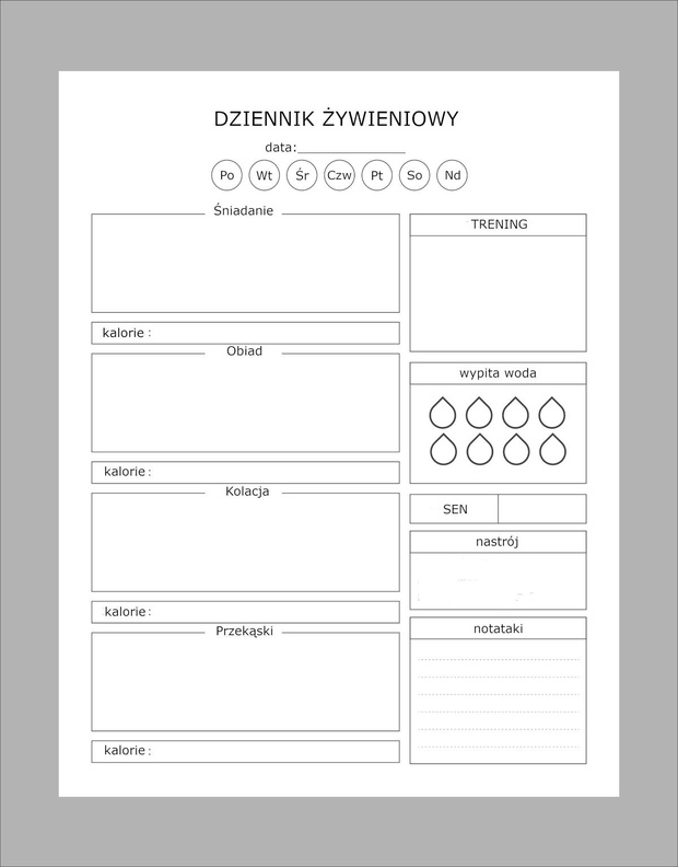 dziennik-diety-pdf-2515921-95ec189