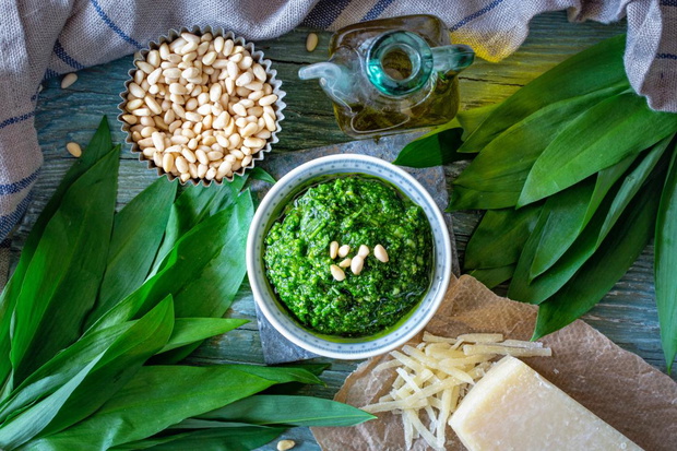 tradycyjne-pesto-z-czosnku-niedzwiedziego-2497178-b5ac620