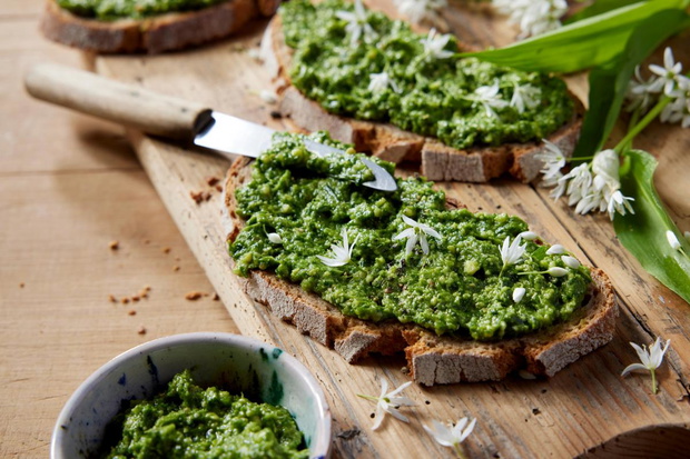 weganskie-pesto-z-czosnku-niedzwiedziego-2497176-cded83d