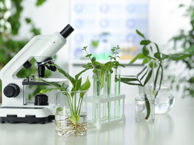 laboratorium-2476181-d6c8a70