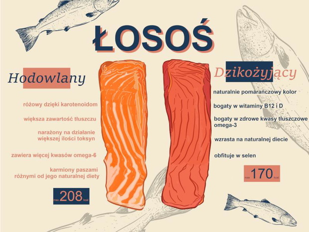 czy-losos-jest-zdrowy-hodowlnay-i-dzikozyjacy-2520836-ea623ad