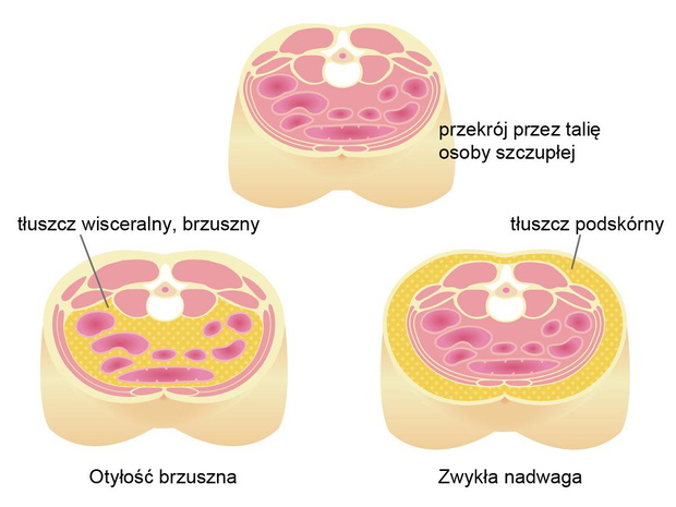 brzuch-stresowy-objawy-2500408-dbed7a2