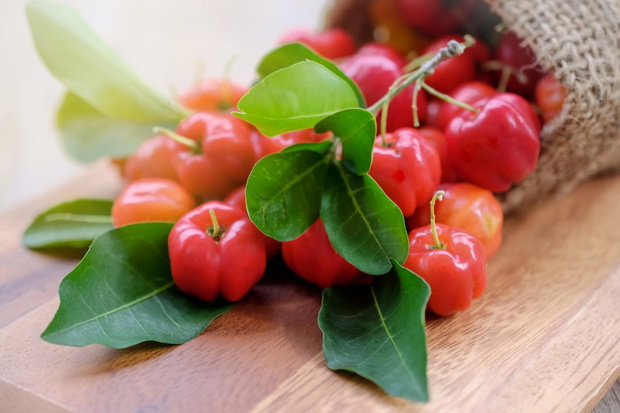 acerola-owoc-bogaty-w-witamine-c-2481067-0eea005