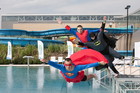 Mistrzostwa Leisure Diving Poznań