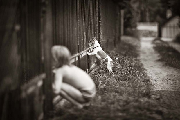 VIVA! Photo Awards 2012, kategoria REPORTAŻ: Izabela Urbaniak