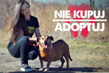 Nie kupuj adoptuj