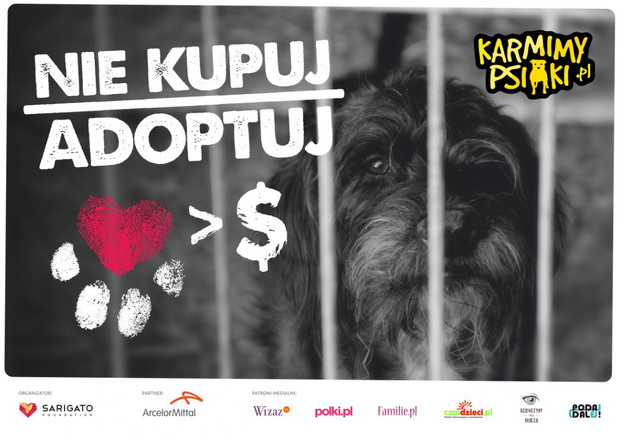 Nie kupuj adoptuj