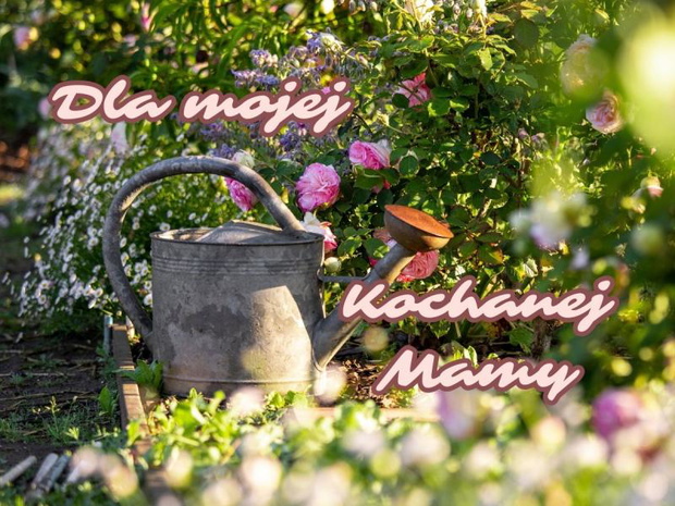 zyczenia-na-dzien-mamy-gify-2513000-44aed9a