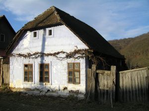 Nieznane