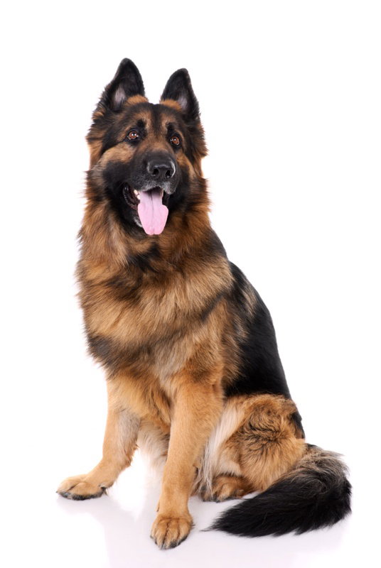 Fotolia
