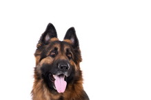Fotolia