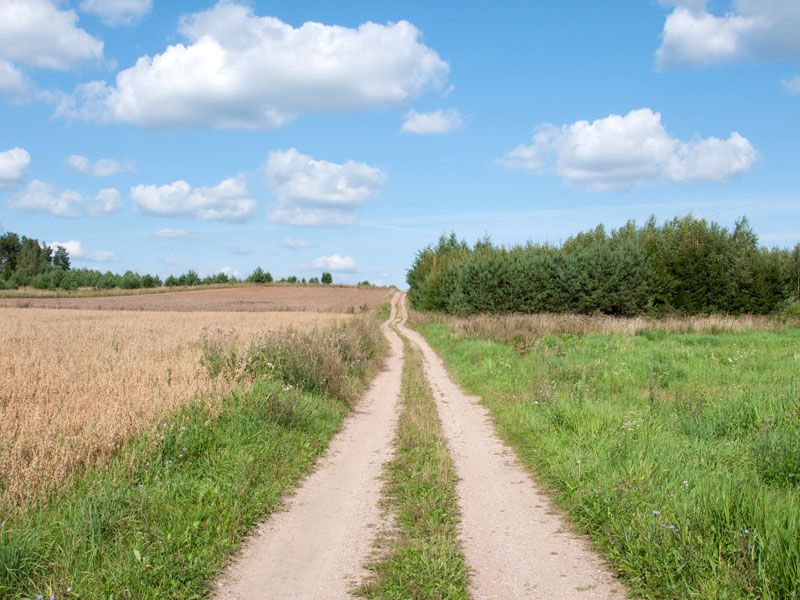 dotacje na agroturystykę jak je dostać, jak otrzymać dotację