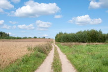 dotacje na agroturystykę jak je dostać, jak otrzymać dotację