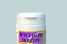 skrzyp polny