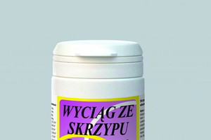 skrzyp polny