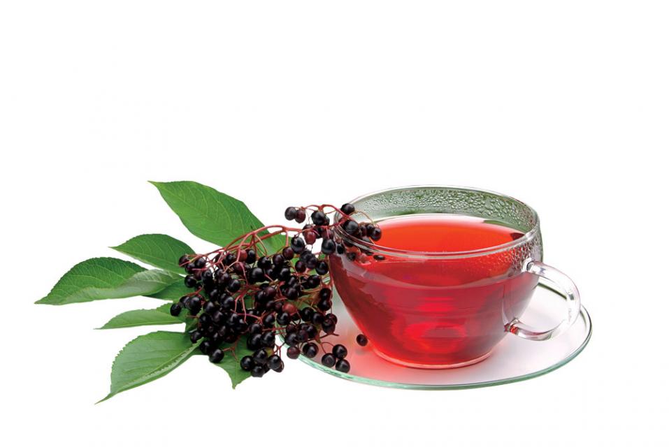 Czarny bez