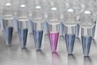 in vitro