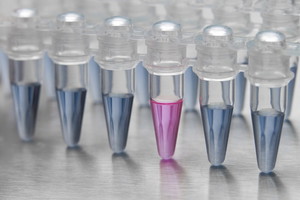 in vitro