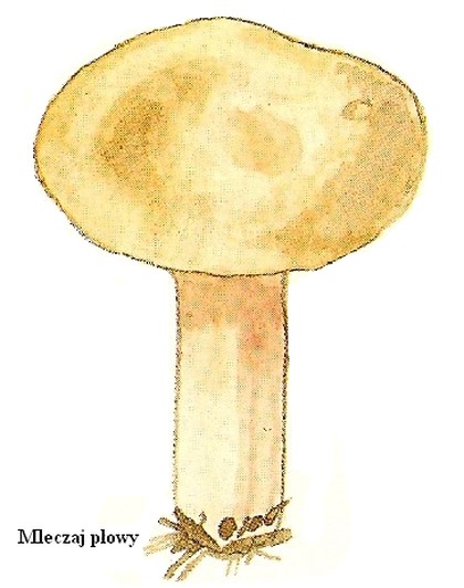 wedwoje514168-7aa5e7c