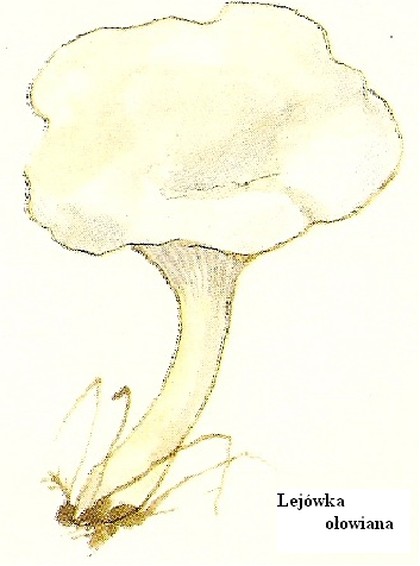 wedwoje414168-e05a96b