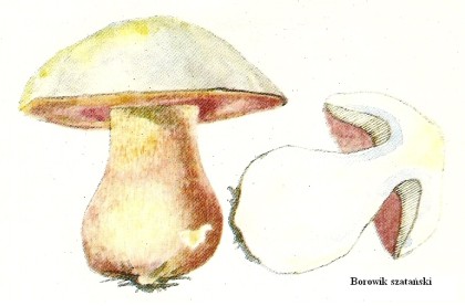 wedwoje114168-85d90b2