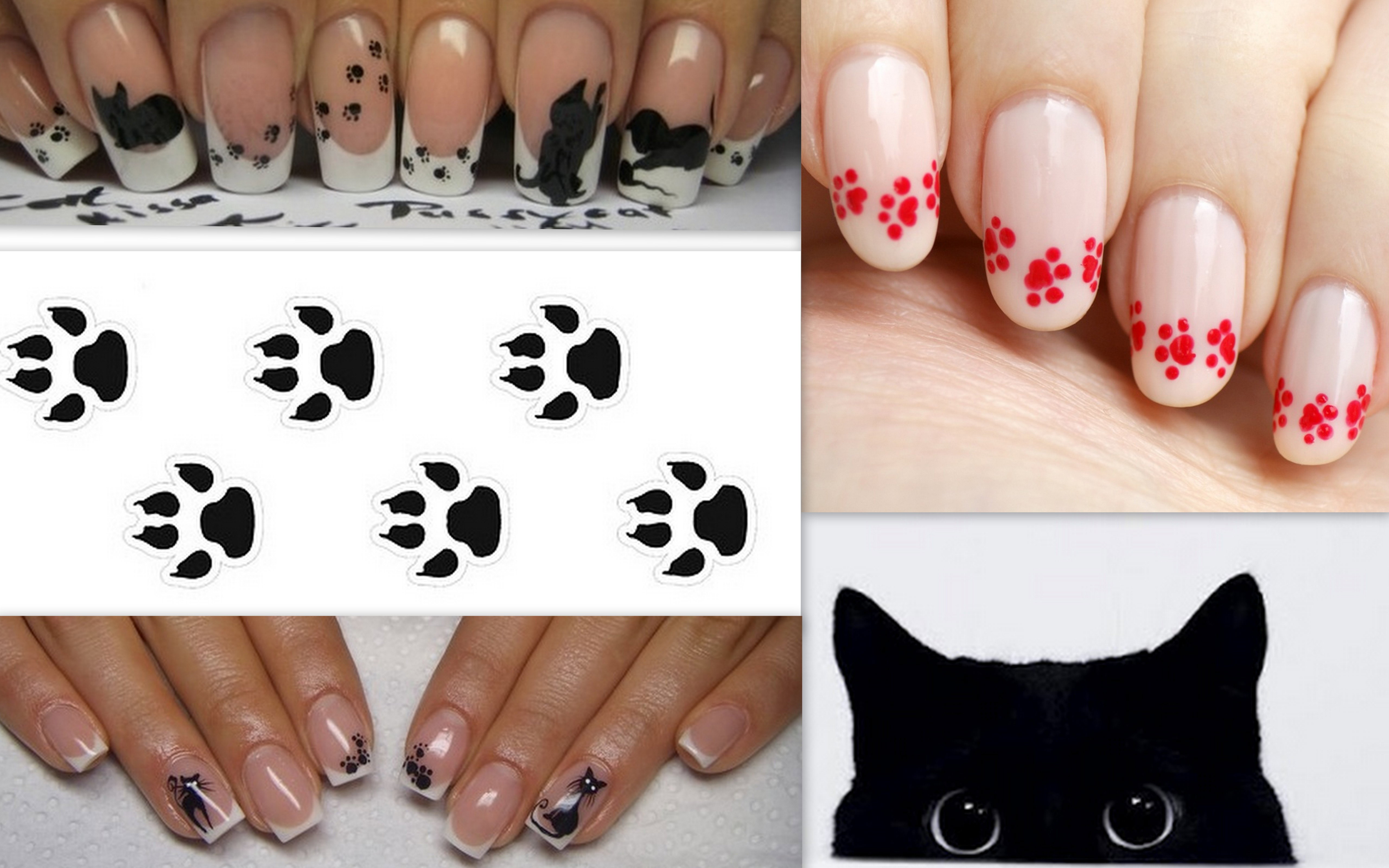 Manicure w kotki