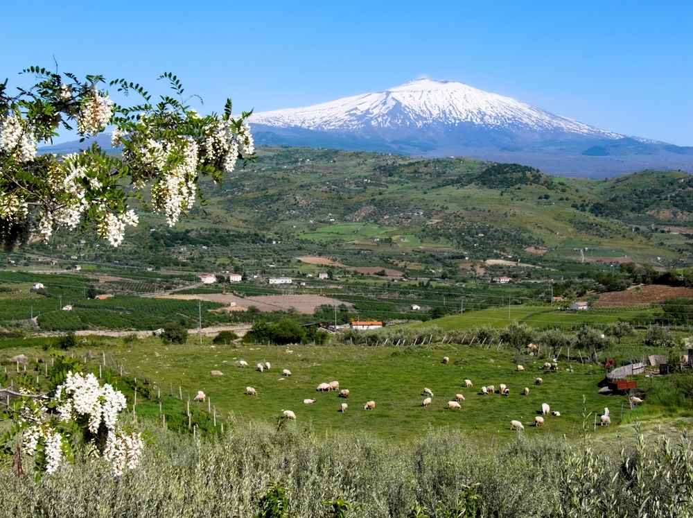 Nieznane
