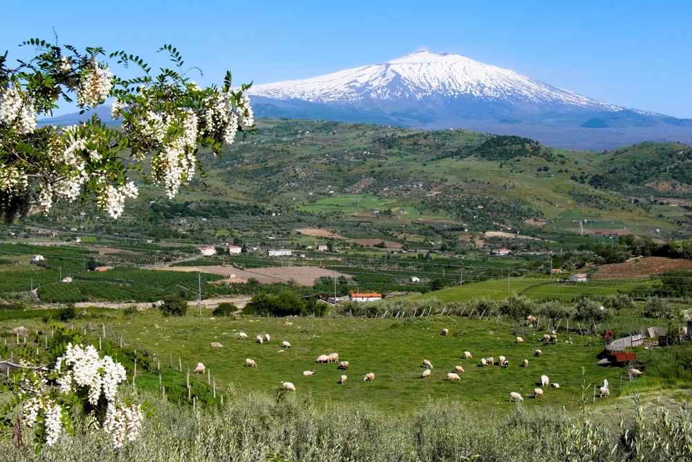 Nieznane