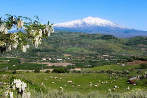 Nieznane