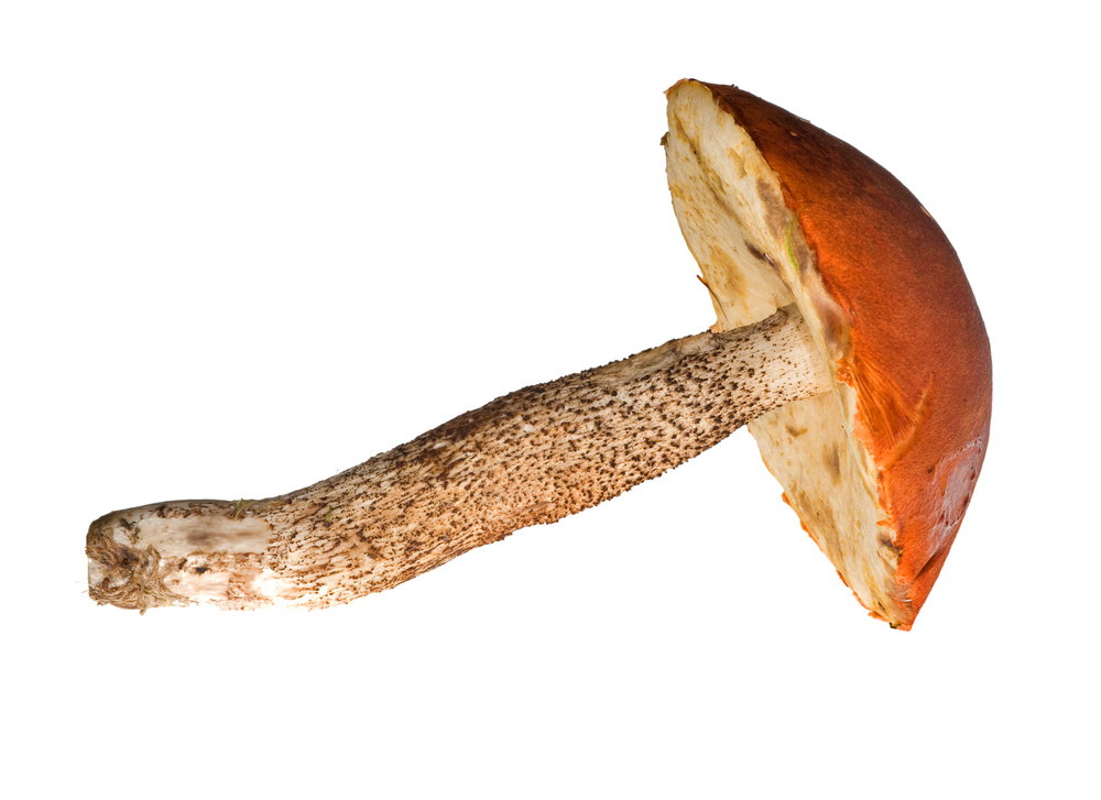Nieznane