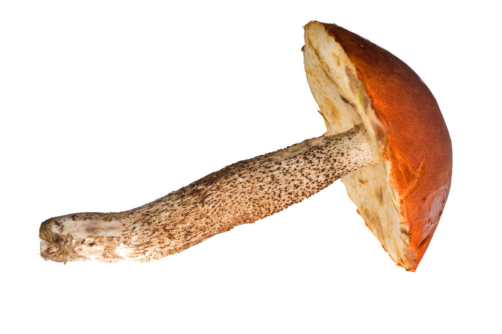 Nieznane