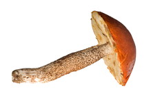 Nieznane