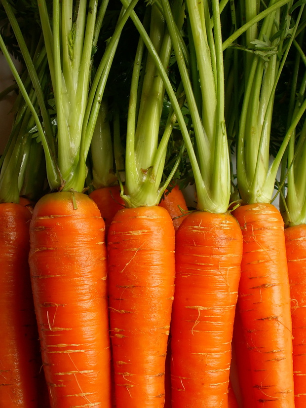 carrots