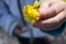 Nieznane