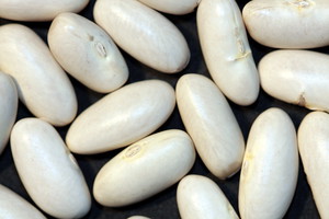 Nieznane