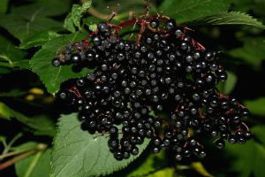 Nieznane