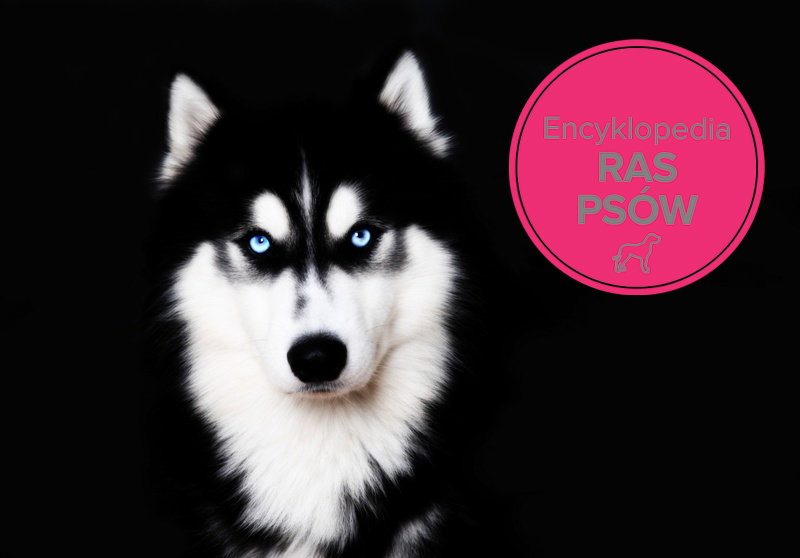 Fotolia/Polki