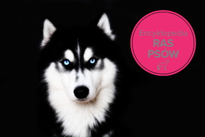Fotolia/Polki