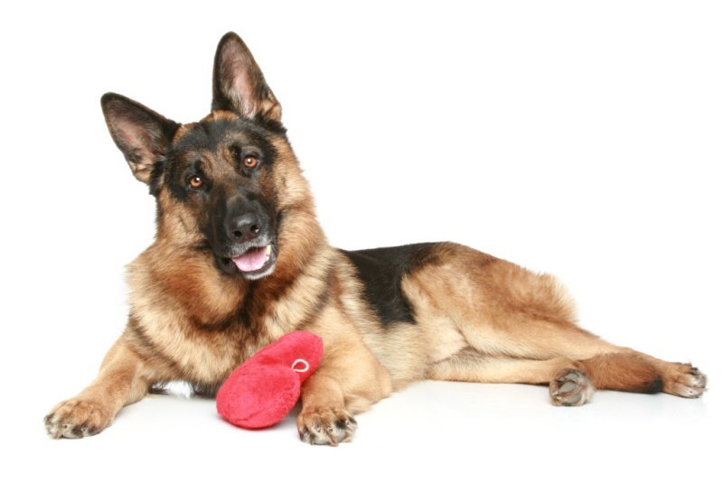 Fotolia