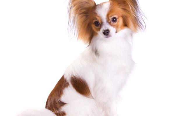 Fotolia