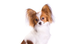 Fotolia