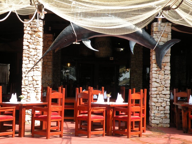 Nieznane
