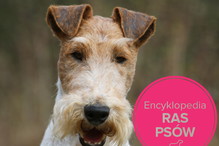Fotolia/Polki