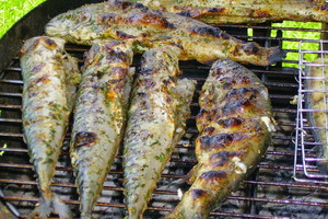 Nieznane