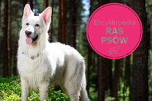 Fotolia/Polki